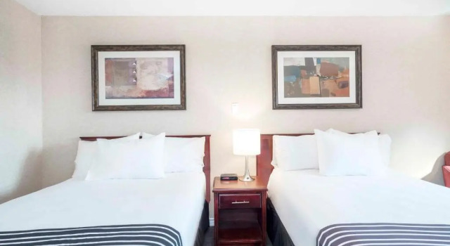 Четырёхместный номер Standard Sandman Hotel Cranbrook