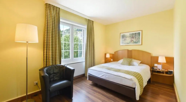 Двухместный номер Economy Hotel du Léman - Jongny