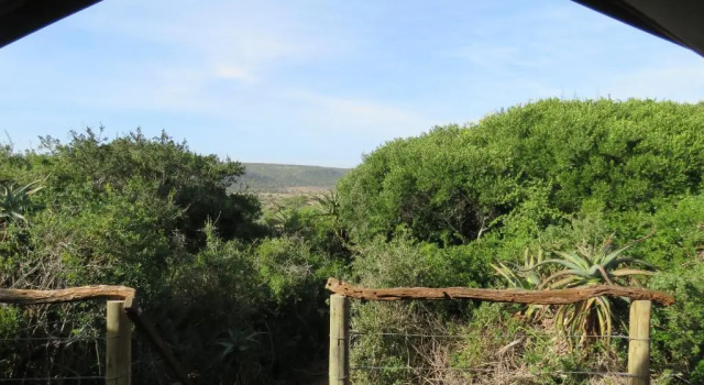 Семейный тент Woodbury Tented Camp - Amakhala Game Reserve