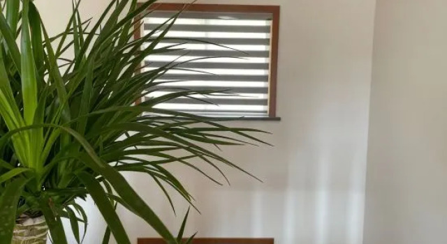 Hangzhou Qingfang Xiaoshe Homestay, Забронировать Отель Ханчжоу Чжэцзян