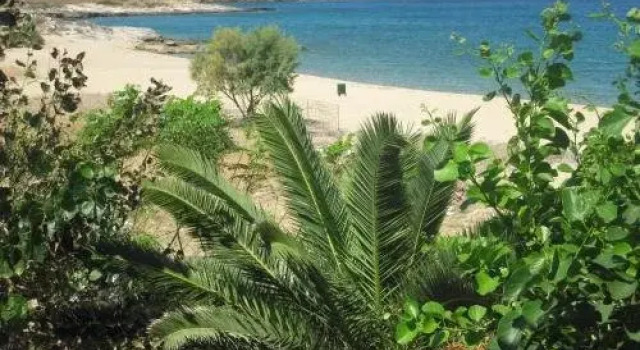 Psathi Beach, Rezervovat Hotel Psathi Ios