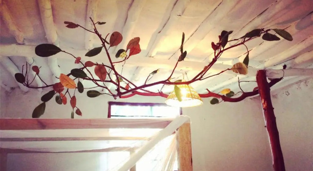 Двухместный номер Standard Diani Hostel