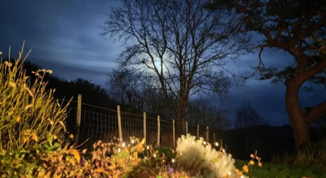 “CaderView Cottage” A Secluded Relaxing Getaway