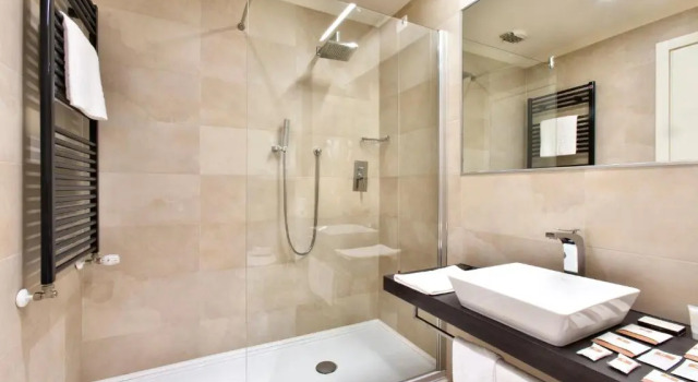 Трёхместный номер Standard Hotel Horizon