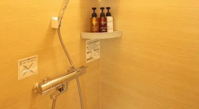 Номер Standard Hotel Izumiya