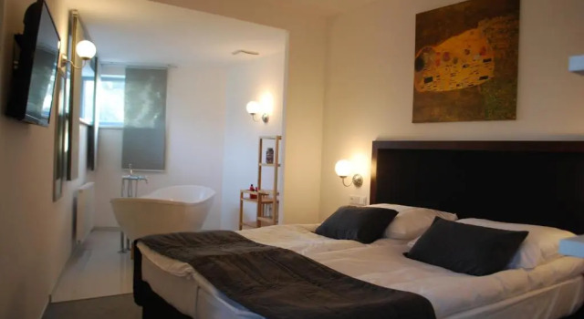 Номер Deluxe Hotel Koruna