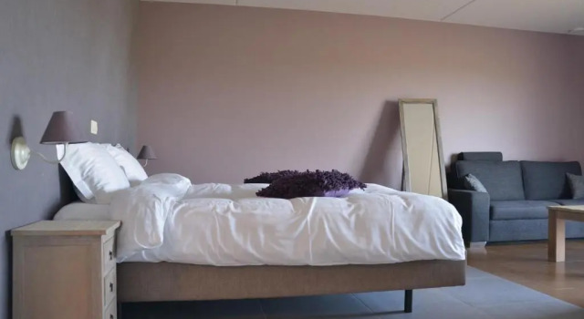 Номер Deluxe B&B Nieuwhof