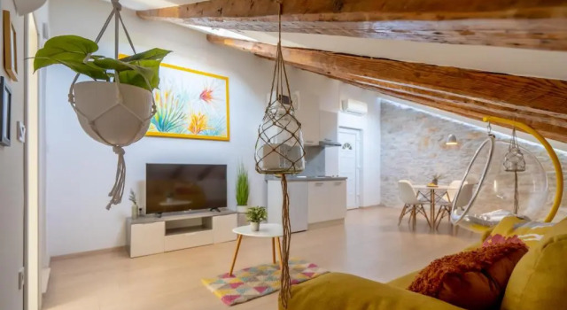 Апартаменты c 1 комнатой Fran Center Apartments