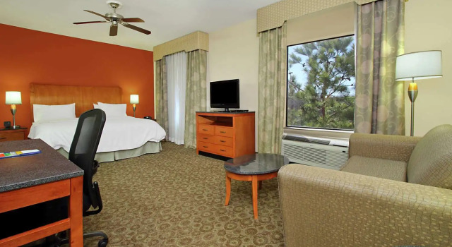 Двухместный люкс Hampton Inn & Suites Buffalo