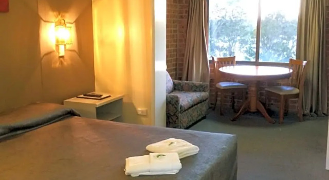 Одноместный люкс Riverview Motor Inn