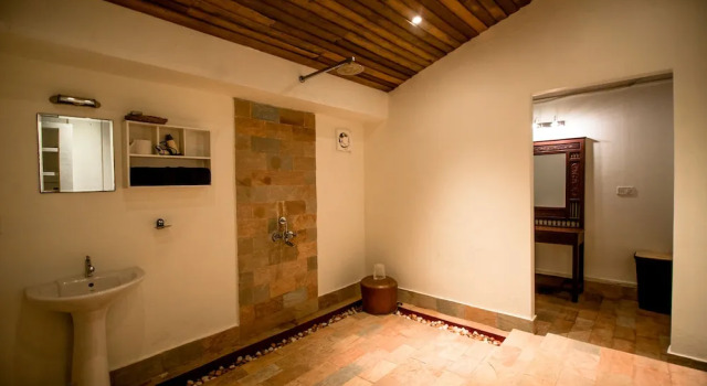 Номер Deluxe Flamingo Boutique Hotel & Ayurvedic spa