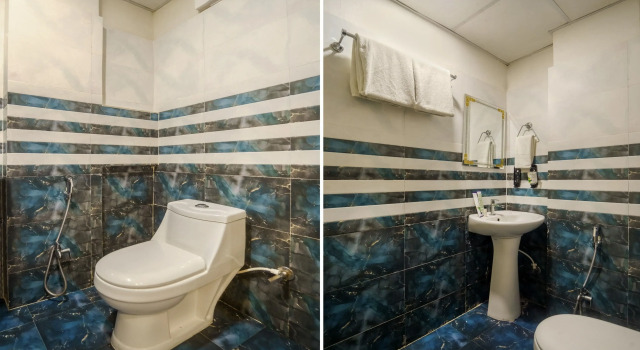 Номер Standard Treebo Park Palace