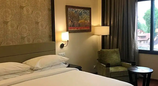 Номер Standard Four Points by Sheraton Srinagar