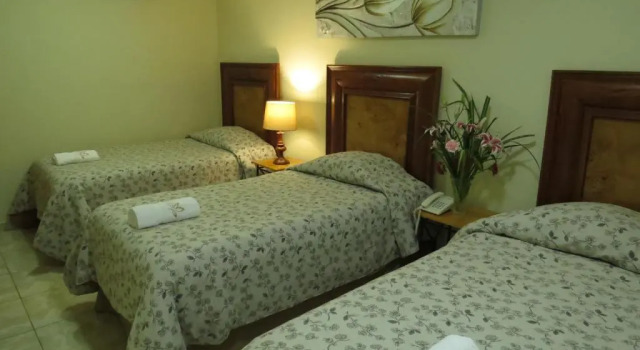 Трёхместный номер Superior Hotel Las Flores