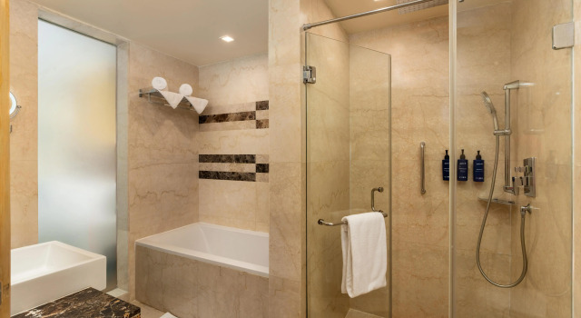 Номер Business Radisson Blu Hotel, Greater Noida