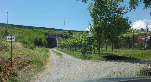 Standard- værelse Buio Pesto B&B