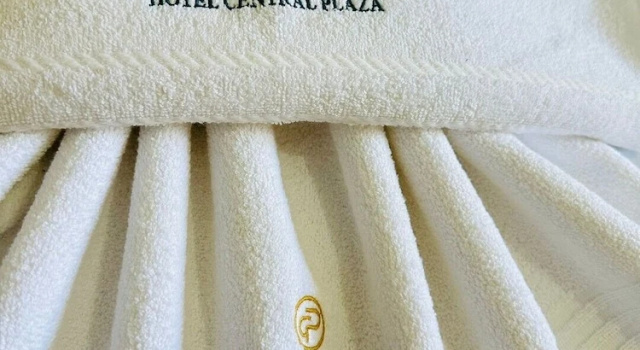 Номер Standard Hotel Central Plaza Timóteo