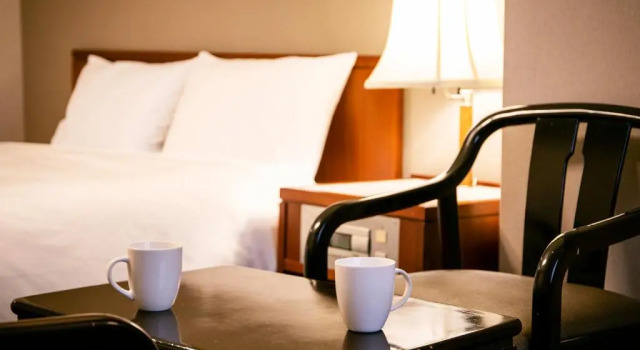 Двухместный номер Standard Hotel New Nishino