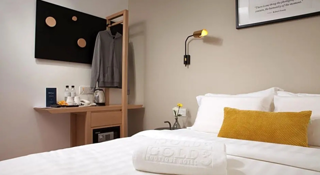 Номер Deluxe Gold3 Boutique Hotel
