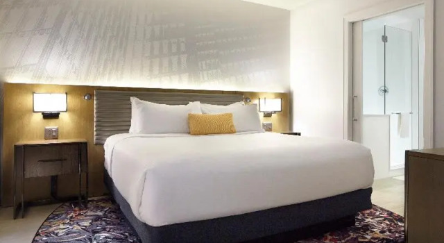 Номер Standard Hotel Indigo Atlanta Downtown by IHG