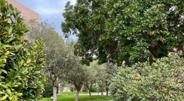 Appartement Saint Tropez, Забронировать Апартаменты/квартира Апартаменты Сен-Тропе, рядом с Chapelle Ste-Anne, Апартаменты/квартира