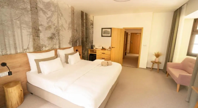Люкс с 2 комнатами Boutique Hotel Soyka