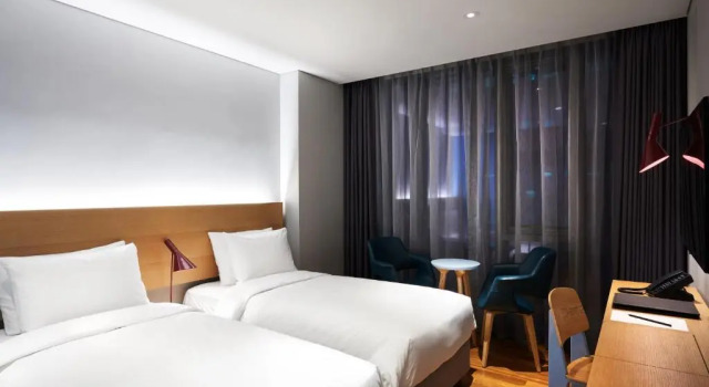 Двухместный номер Deluxe Hotel Peyto Gangnam
