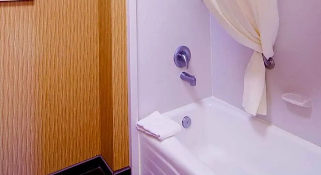 Двухместный люкс c 1 комнатой Hampton Inn & Suites Tampa-North