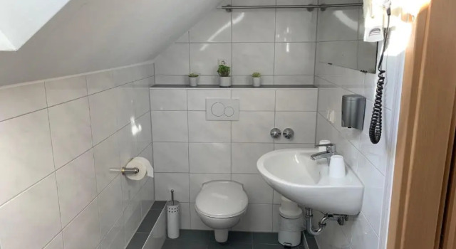 Трёхместный номер Standard Hotel zum Adler