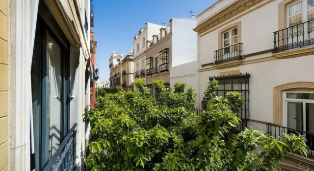 Genteel Home Vinuesa II