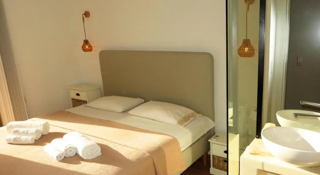 Opus Suite