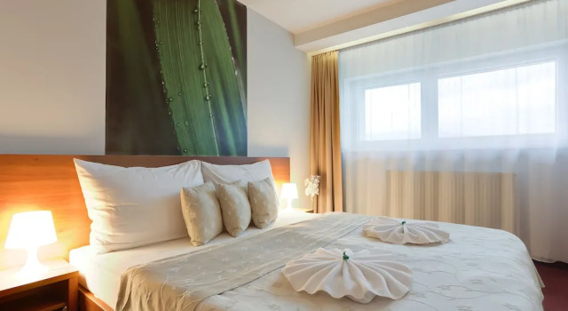 Двухместный люкс Classic Hotel Janosik