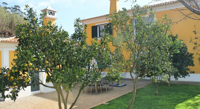 Bellevue Villa - Our Madeira