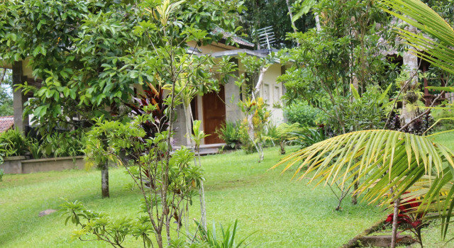 Люкс Tegal Jero Homestay