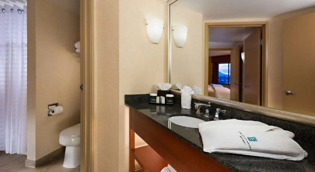 Четырёхместный люкс с 2 комнатами с видом на горы Embassy Suites by Hilton Phoenix Scottsdale