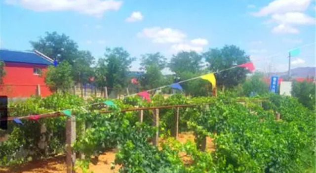 Shapotou Damo Qingyuan Farmstay, Забронировать Отель Чжунвэй Нинся, рядом с Живописная местность Шапотоу