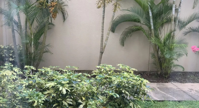 Двухместный люкс Holiday Inn Melbourne-Viera Conference Ctr by IHG