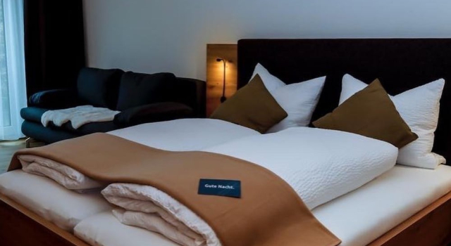 Апартаменты Business DAS GEORG Gästehaus in Epfendorf