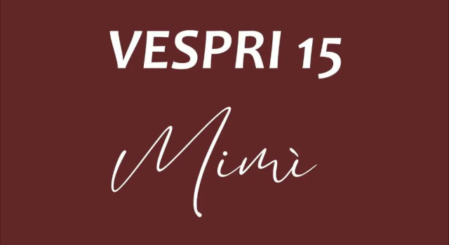 Апартаменты VESPRI 15 apartments