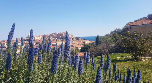 Коттедж Villa Caterina
