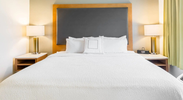 Двухместный люкс SpringHill Suites by Marriott Houston Brookhollow