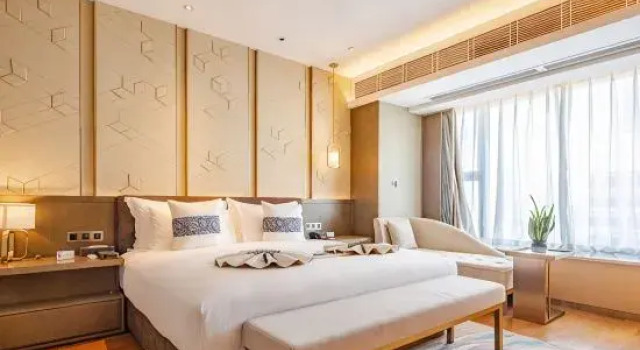 Suite Grand SHENZHENAIR SKY PARK LIUZHOU