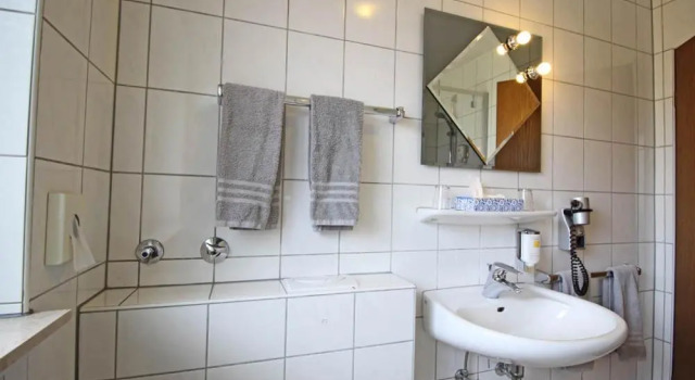 Одноместный номер Economy Hotel Lindenkrug