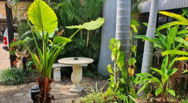 Двухместный номер Deluxe Rockhampton Palms Motor Inn