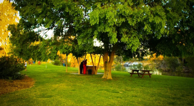 Двухместная студия с видом на реку Cadell On The Murray Motel