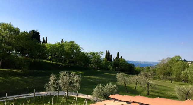 Студия Agriturismo Cervano