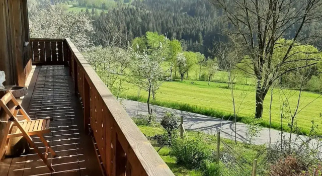 Апартаменты Ferienwohnung in Viechtach