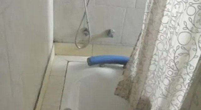 Люкс Hotel América