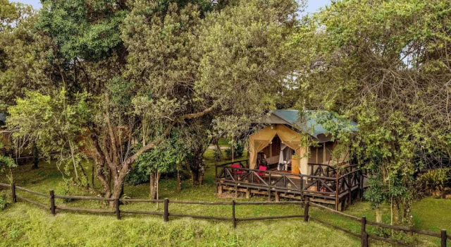 Номер Deluxe Fairmont Mara Safari Club