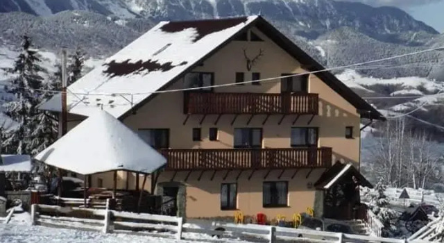 Edera